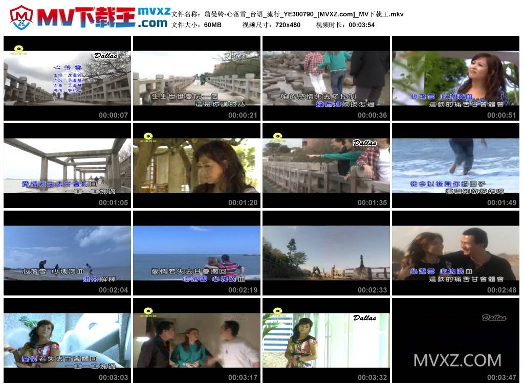 詹曼铃-心落雪_台语_流行_YE300790